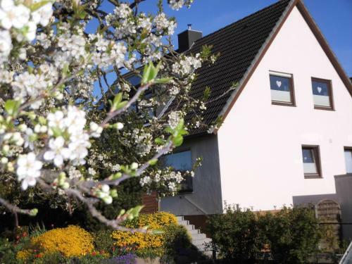 Apartamento Appartementhaus Diana