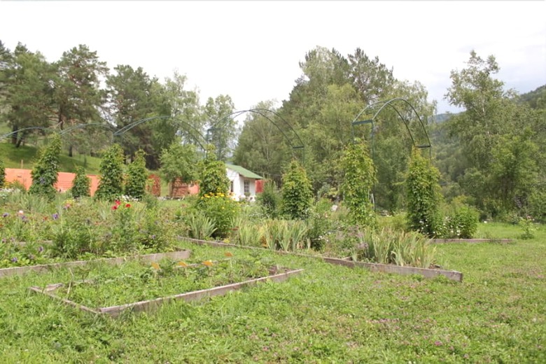 Hotel Peony Garden Guest House