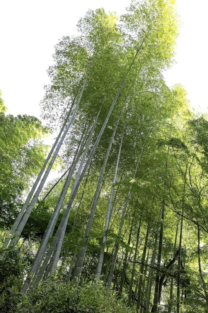 Yoritomonoyu Honjin