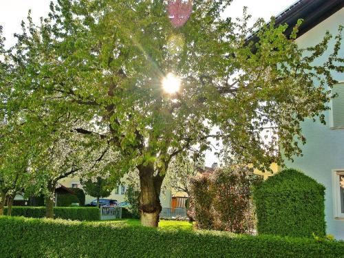 Apartamento Appartementhaus Sonneneck