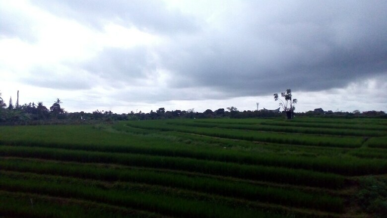 Bed & Breakfast North Wing Canggu Resort