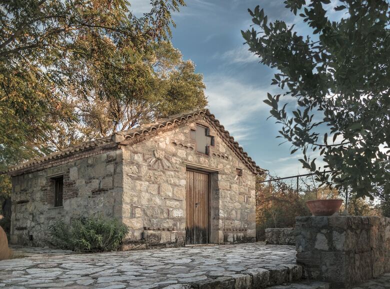 Estate Olive Grove