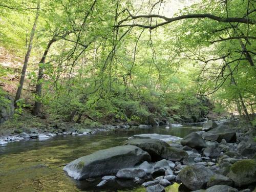 Gorgeous Apartment In Thale Near River And Forest