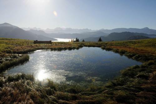 Hotel Hubertus Alpin Lodge & Spa