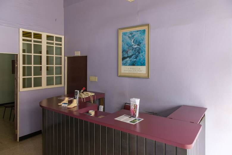 Apartamentos Coconut Suite At Turtle Towers