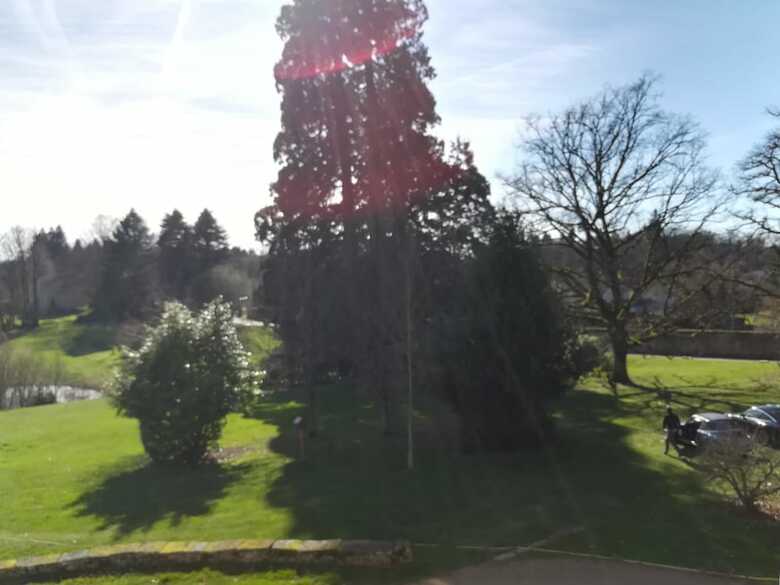 Bed & Breakfast Ch�teau de Saint-antoine