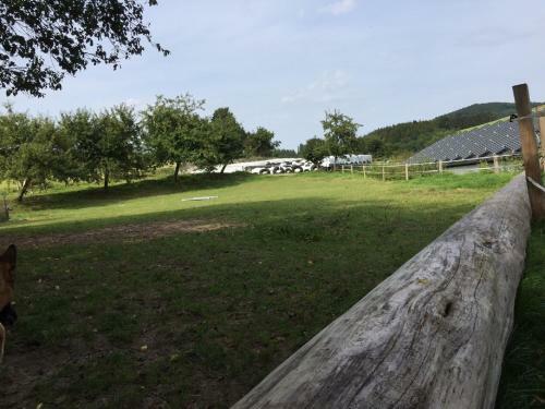 Apartamento Ferienbauernhof Familie Stratmann