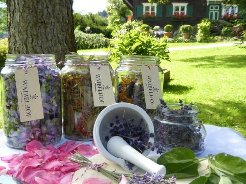 Apartamento Landhaus Waibelhof