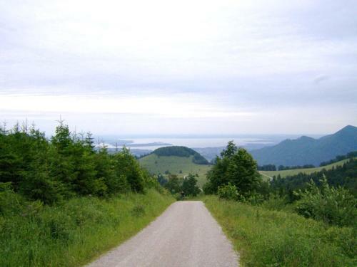 Cozy Apartment In Feldwies With Sauna