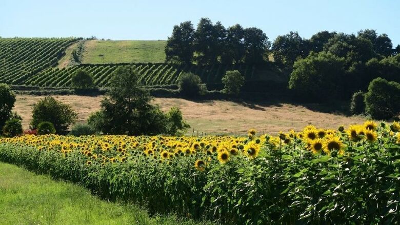 Hotel La Maison D'amazone