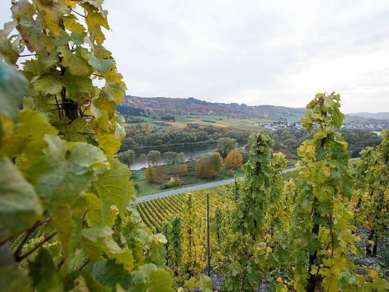 Ferienwohnung-vinothek Keifer Kinheim