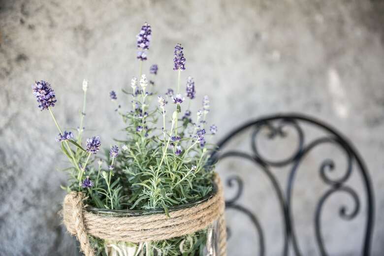 Bed & Breakfast Landhaus Mondschein