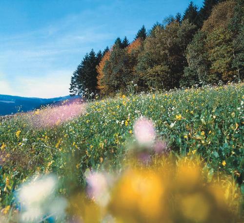 Hotel Landhaus Lenneper-f�hrt