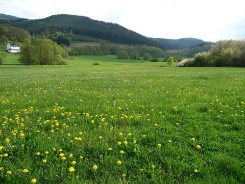 Hotel Landhaus Lenneper-f�hrt