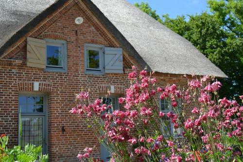 Apartments Golden T�ffel