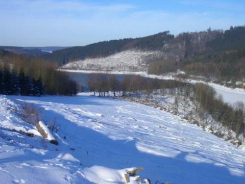 Holiday Home Im Rothlande Meschede Hennesee