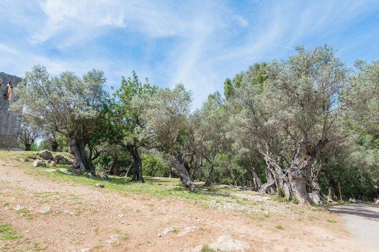 Villa Sa Garriga de Can Barratot