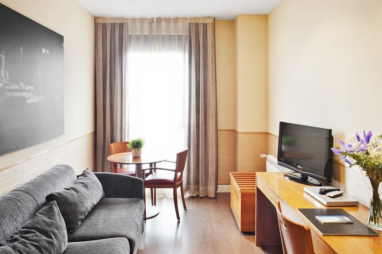 Aparthotel Ram�n de La Cruz 41