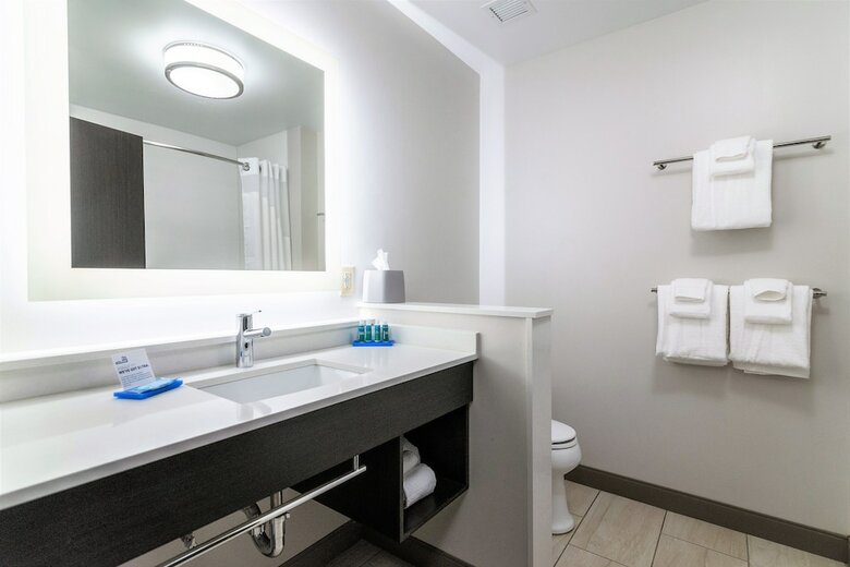 Hotel Holiday Inn Express & Suites Allen Park