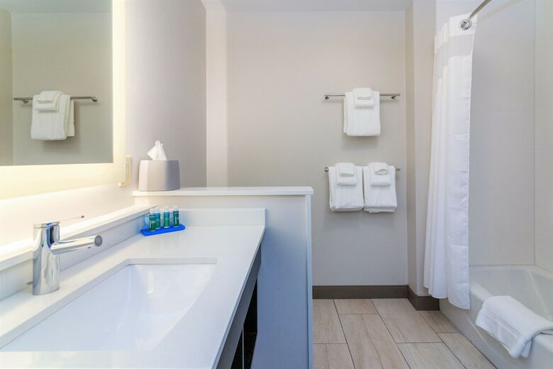 Hotel Holiday Inn Express & Suites Allen Park