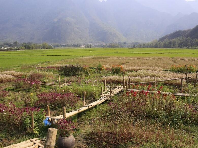 Hotel Ume Mai Chau Eco Homestay