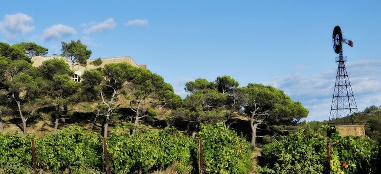 Hotel Ch�teau de Jonquieres