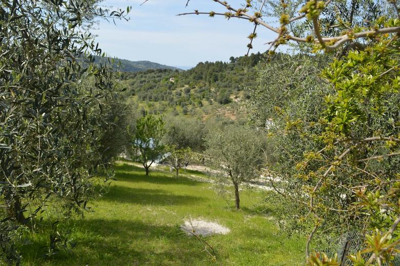 Agroturismo Agriturismo Valle Dei Gelsi