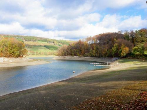 Holiday Home Tanja Meschede Hennesee