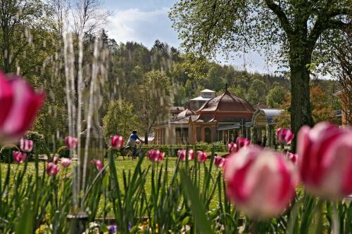 Badhotel Bad Br�ckenau