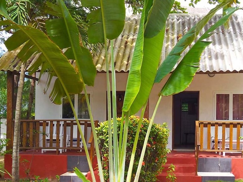 Hotel Awal� Plage - Village Vacances