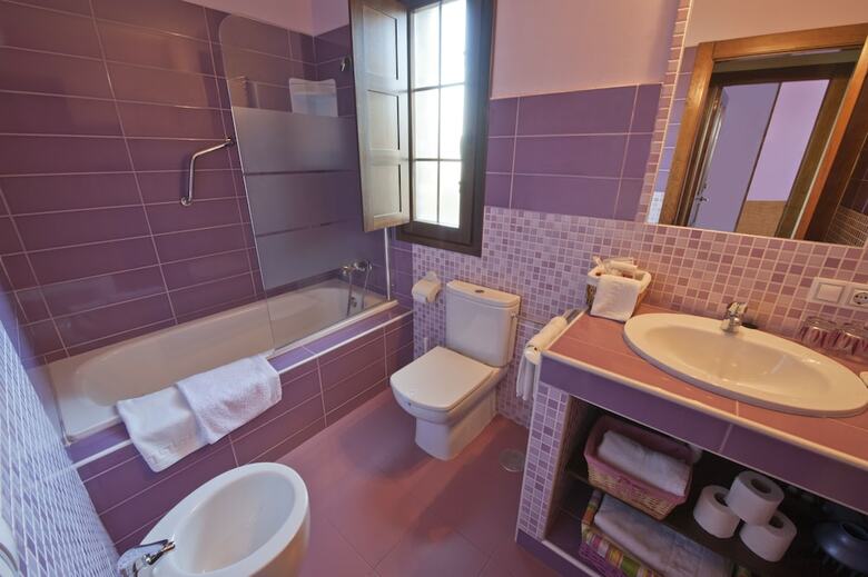 Apartamentos Rurales Villa de Sa�n