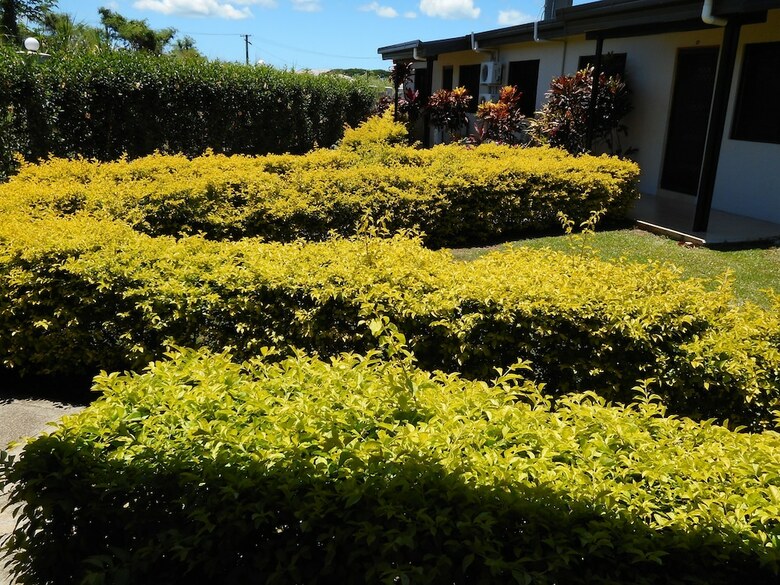 Hotel Nadi Airport Apartments