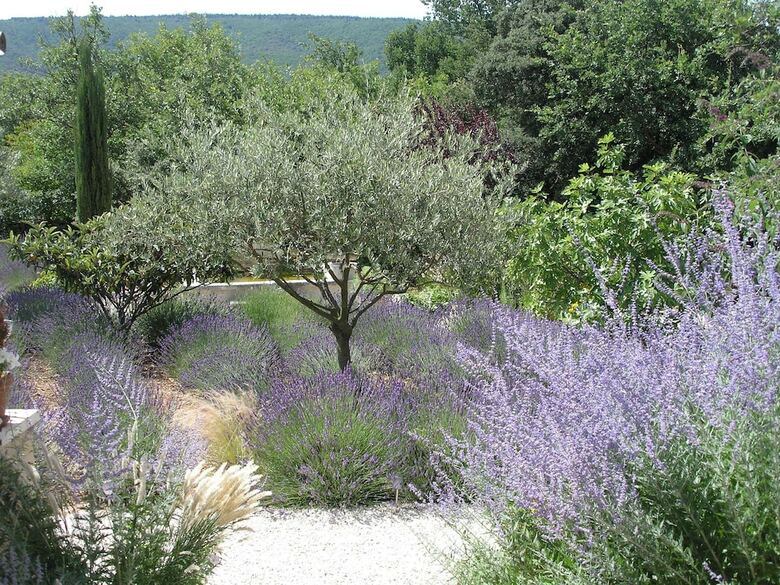 Bed & Breakfast Le Clos Des Lavandes