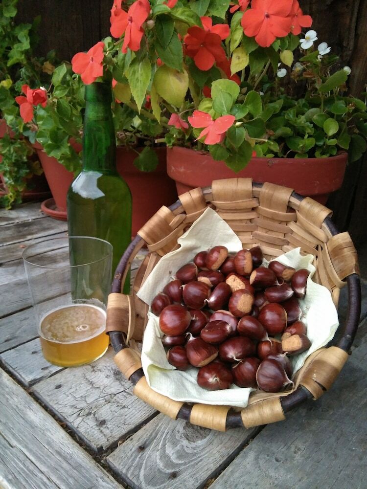 Agroturismo Casa La Cuesta