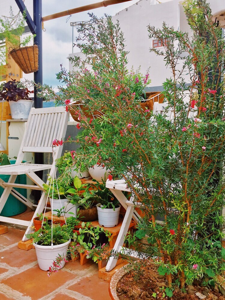 Birdnests Hotel