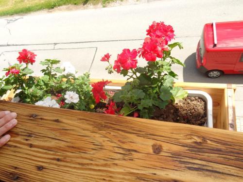 Hostal G�stehaus Eschenhof