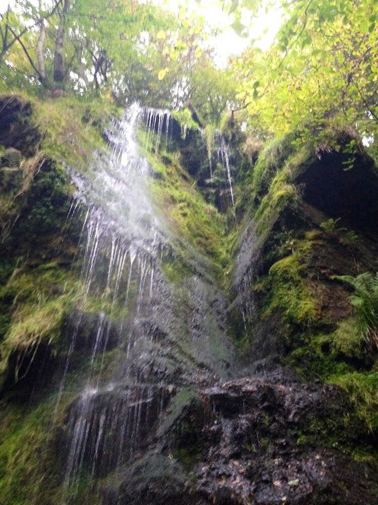 The Mallyan Spout Hotel