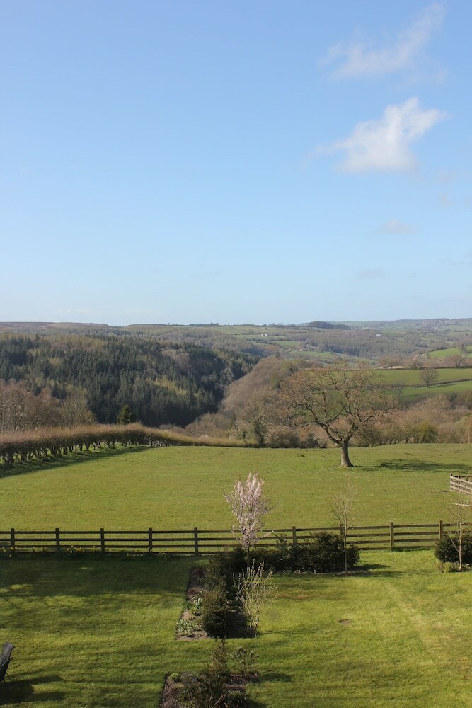 The Mallyan Spout Hotel