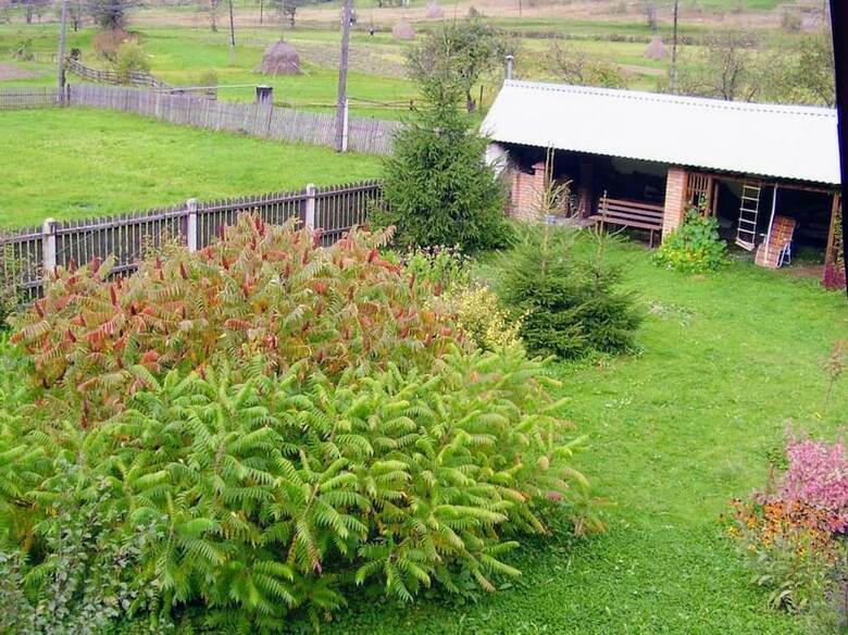 Green Tourism