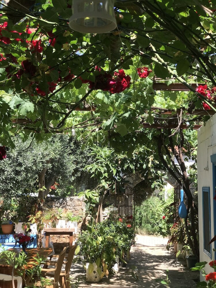 Hotel Likya Pansiyon