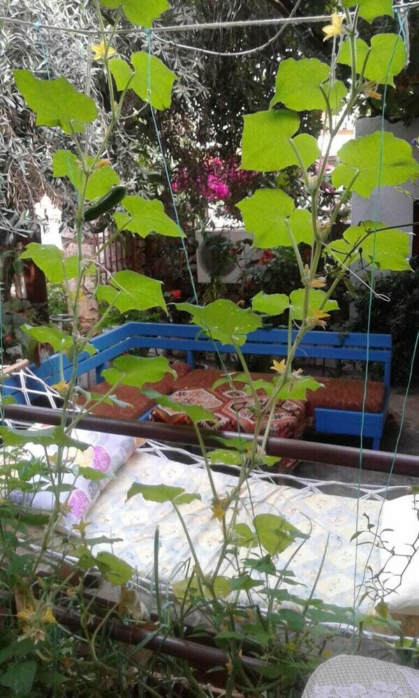 Hotel Likya Pansiyon