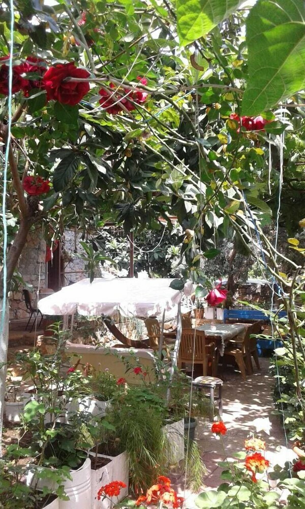 Hotel Likya Pansiyon