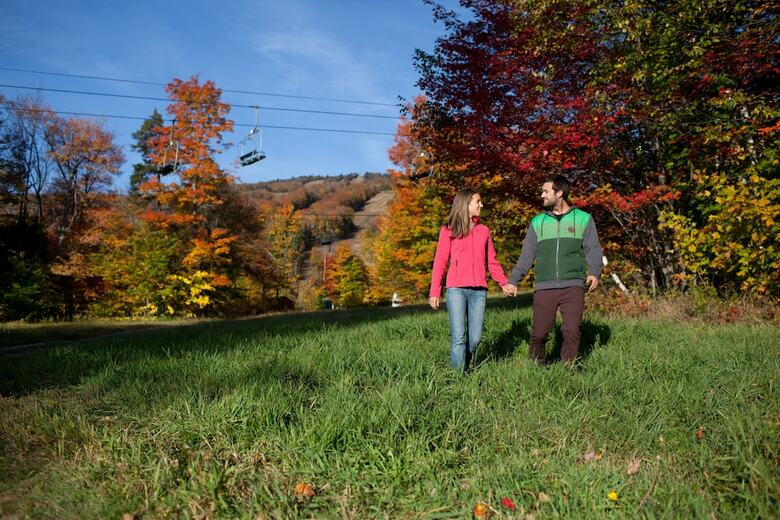 Hotel Mountain Lodge At Okemo