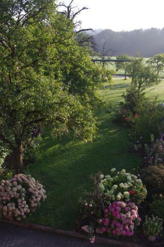 Agroturismo Marchlhof