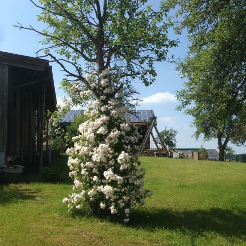 Agroturismo Marchlhof