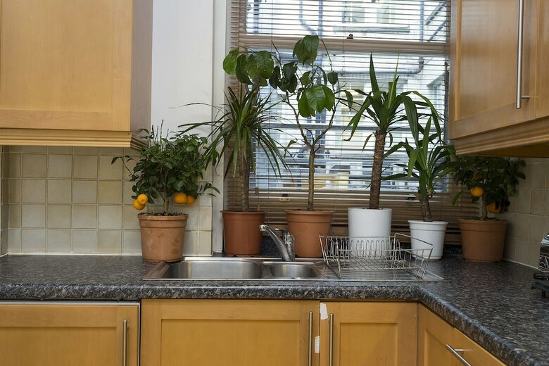 Apartamentos Spacious Flat In Central London