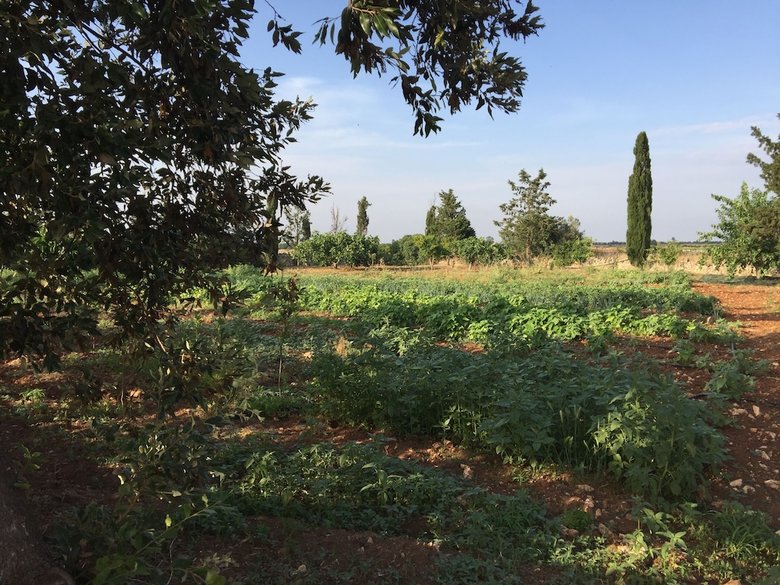 Agroturismo Masseria Vico