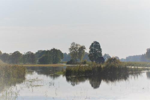 Hostal Gutshof Zum Adlernest