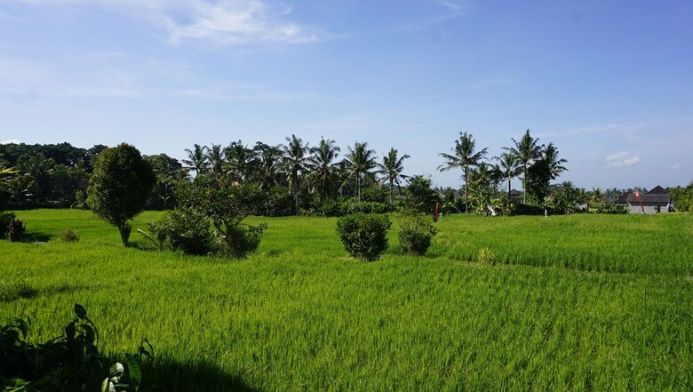 Bed & Breakfast Sari Bamboo Bungalows