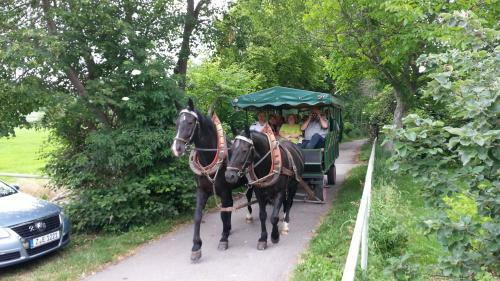 Hostal Landhotel Grober's Reiterhof